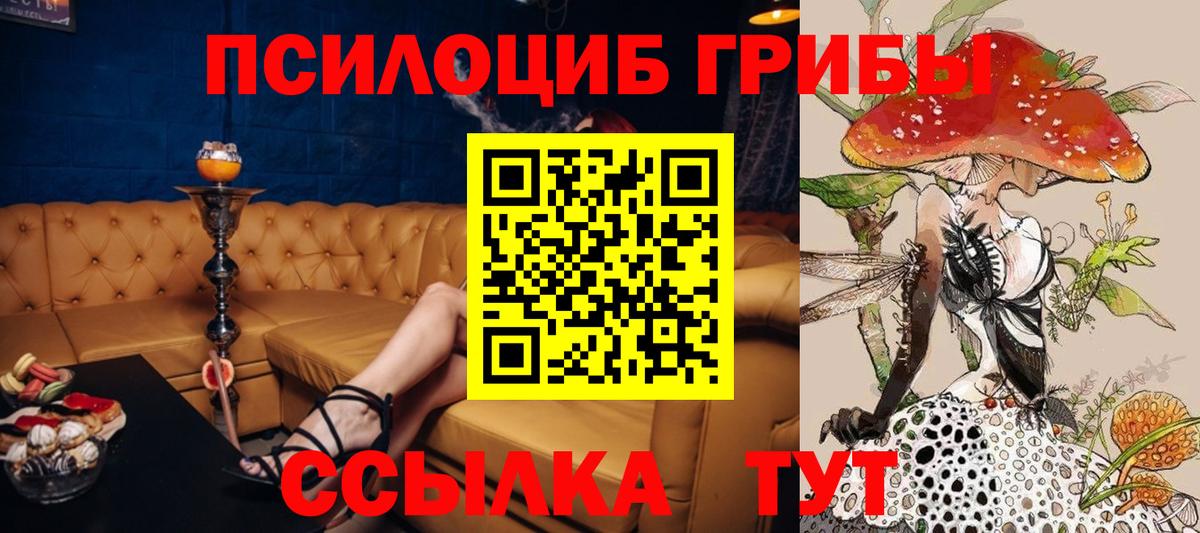 Псилоцибиновые грибы мухоморы  Псилоцибиновые грибы прущие грибы  Вход с VPN  Магадан 