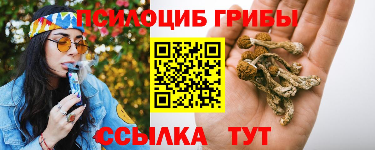 Псилоцибиновые грибы Psilocybine cubensis Магадан